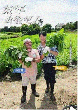 新西游记第十季 综艺封面